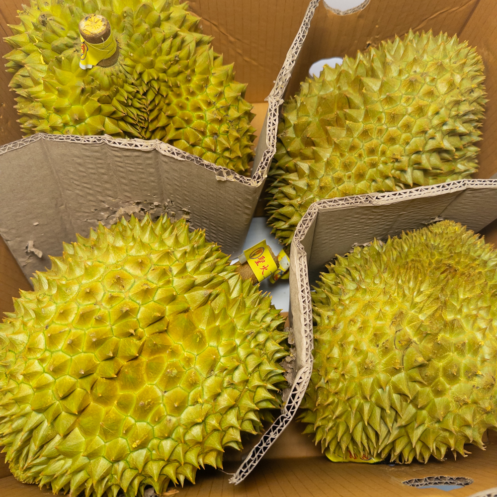 泰國金枕頭榴槤